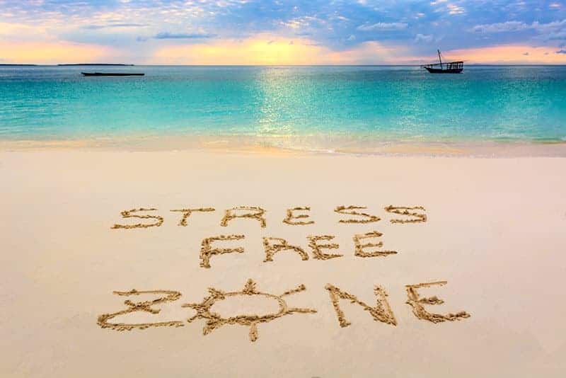 article about stress free